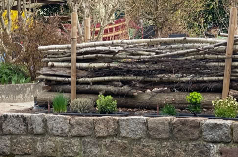 FHG am Hörnli, Steinmauer mit kleinen Pflanzen davor, dahinter ein Zaun aus gestapelten Ästen und Bäumen im Hintergrund.