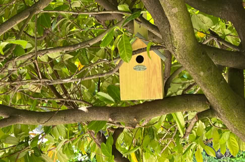 FHG am Hörnli, Ein hölzernes Vogelhaus hängt in einem Baum mit grünen Blättern.